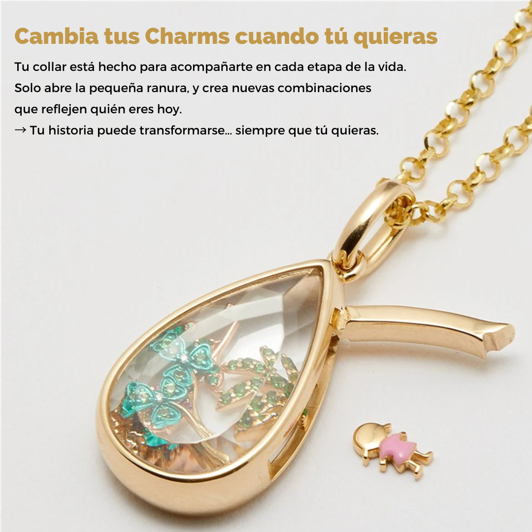 Collar Colgante de Caja Para Charms